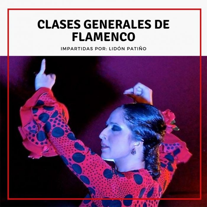 Clases generales de Flamenco