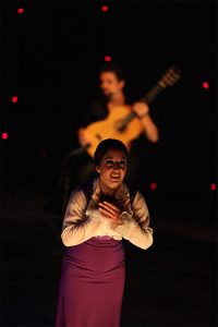 Bailaora y coreógrafa. Lidón Flamenco. Directora de la academia de flamenco online "Lidón Flamenco Academy"