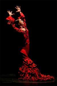 Bailaora de Flamenco con bata de cola. Lidón Patiño fotografiada por Jesús Vallinas